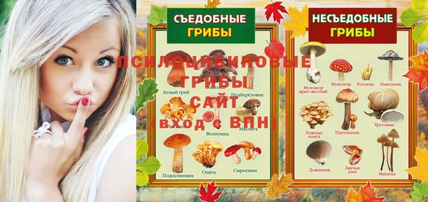 а пвп мука Верея